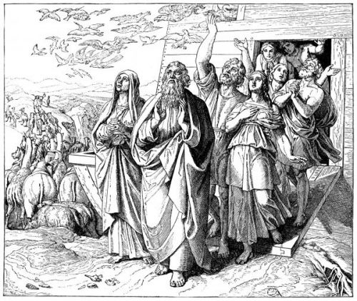 Noah Pictures - Image 2