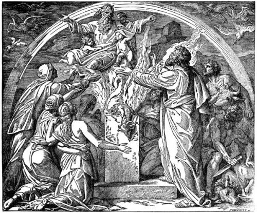 Noah Pictures - Image 5