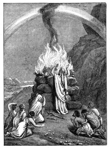 Noah Pictures - Image 6