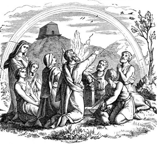 Noah Pictures - Image 7