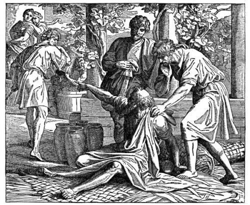 Noah Pictures - Image 8