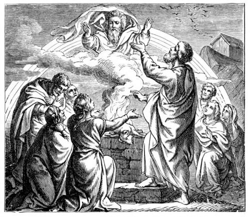 Noah Pictures - Image 9