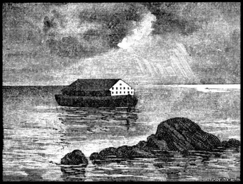 Noah's Ark Pictures - Image 6 