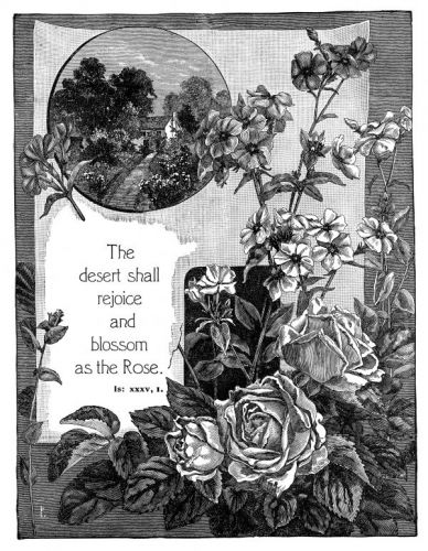 Popular Bible Verses - Image 4