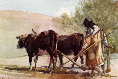 Prophet Elisha - Image 2