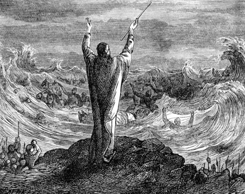 Red Sea Crossing - Image 1