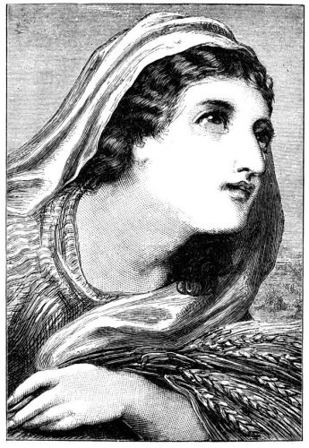 Ruth Bible - Image 1