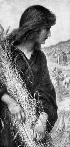 Ruth Bible - Image 6