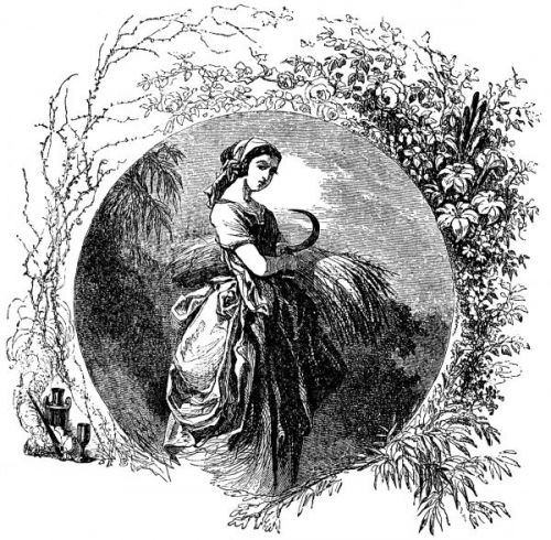 Ruth Bible - Image 7