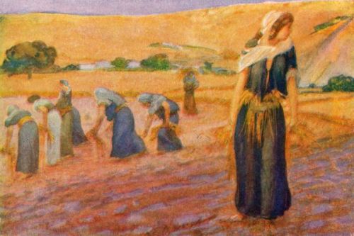 Ruth Story - Image 5