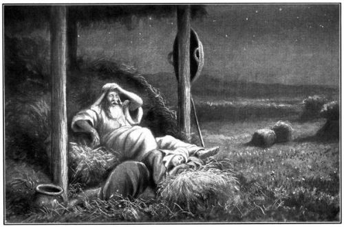 Ruth Story - Image 6