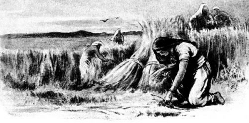 Ruth Story - Image 7