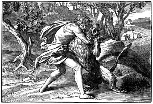 Samson and the Lion - Image 13