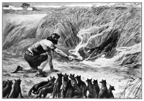 Samson Bible - Image 9