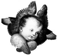 Seraphim Angels - Image 1