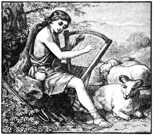 Shepherd David - Image 2