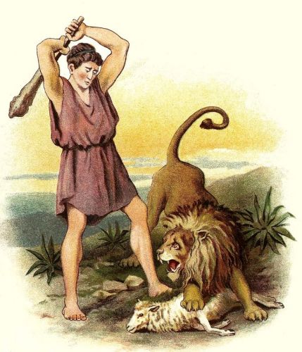 Shepherd David - Image 3