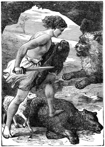 Shepherd David - Image 4