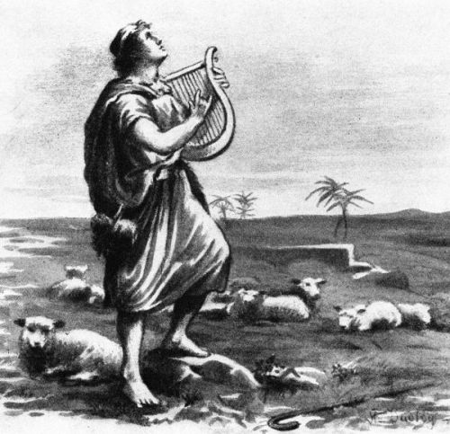 Shepherd David - Image 8