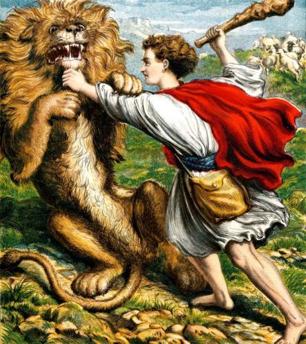 Shepherd David - Image 9