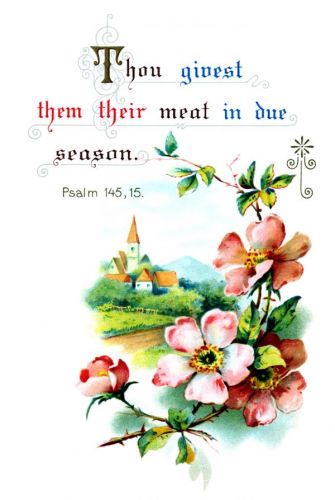 Spiritual Quotes - Image 3