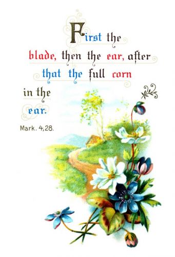 Spiritual Quotes - Image 4