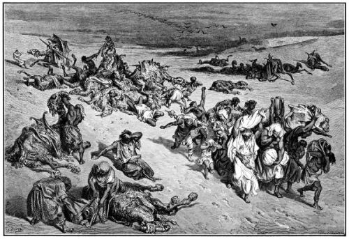 Ten Plagues - Image 4