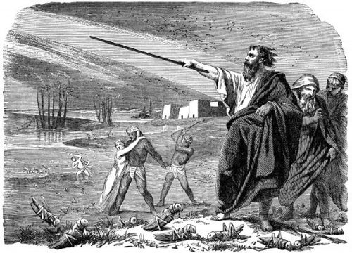 Ten Plagues - Image 6