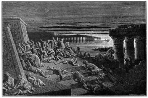 Ten Plagues - Image 7