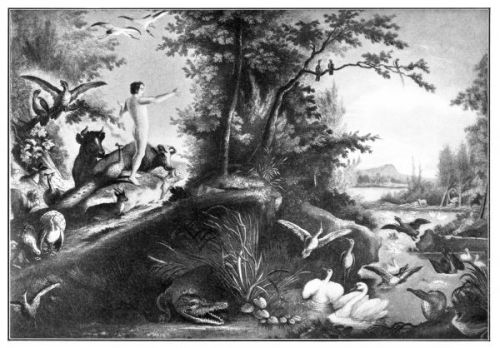 The Garden of Eden - Image 6