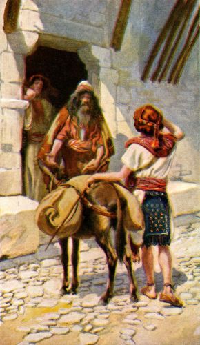 Young David - Image 2