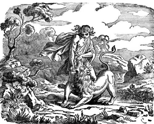 Young David - Image 3